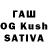 Псилоцибиновые грибы MAGIC MUSHROOMS Fahri Ramadhan