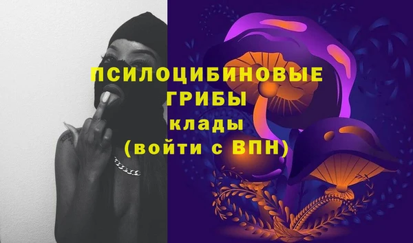 стафф Куйбышев