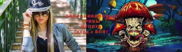 стафф Куйбышев
