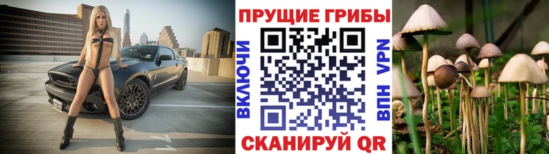 Галлюциногенные грибы Cubensis  купить   Юрга 
