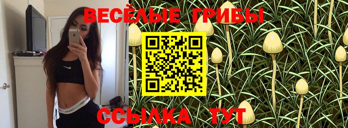 Псилоцибиновые грибы мухоморы Юрга