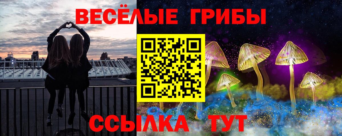 Псилоцибиновые грибы Psilocybine cubensis  Вход с VPN  Юрга 